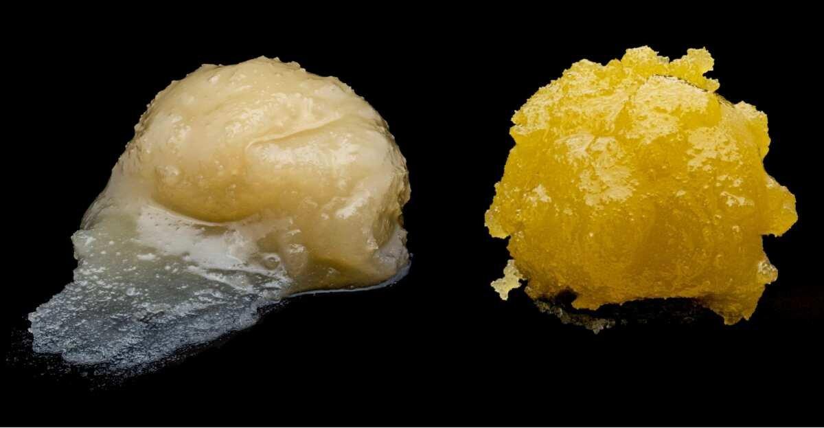 Exploring ⁣the Extraction Processes Behind Hash Rosin‍ and Live Rosin