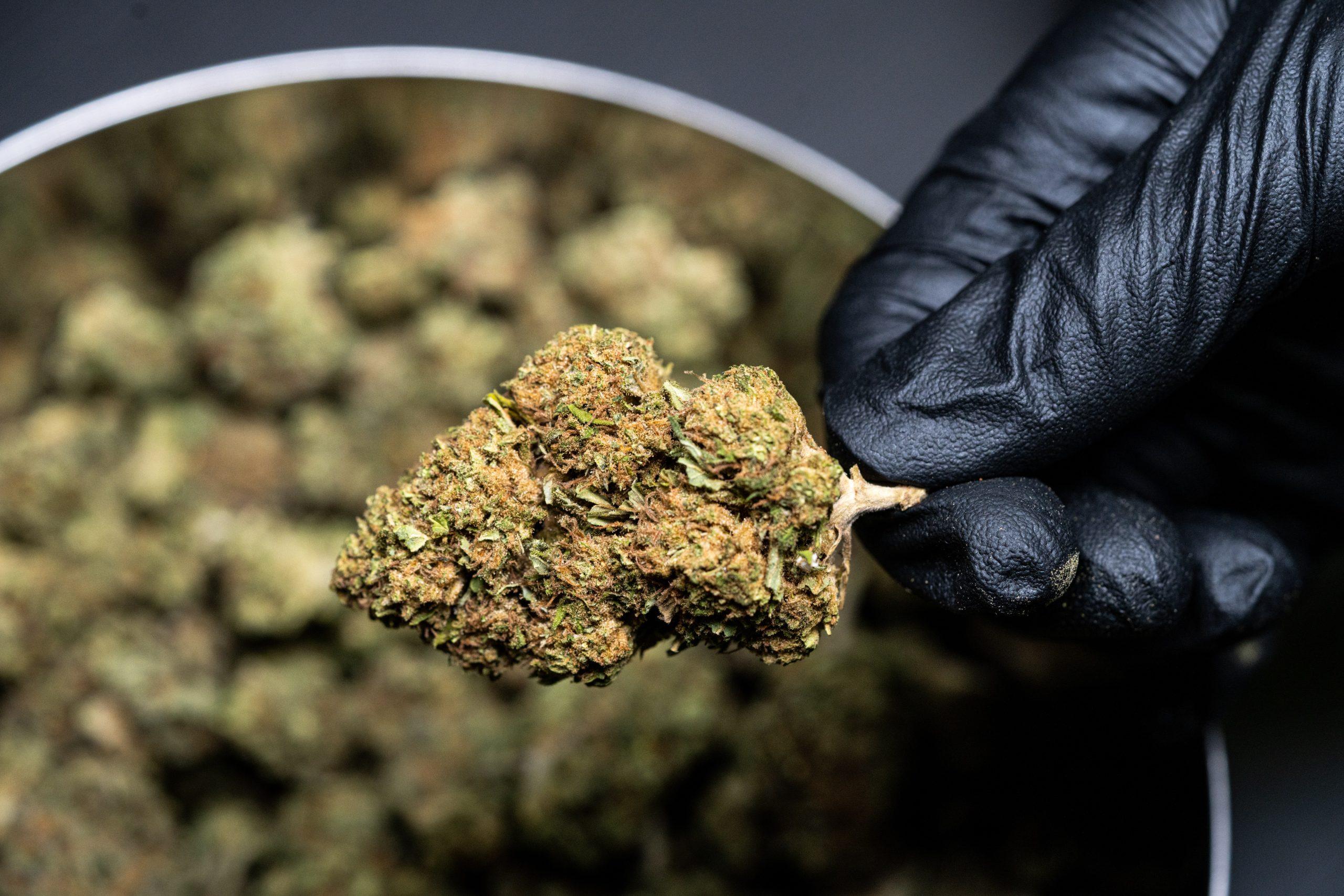 THC-O versus Delta-8 THC: Key Differences Explored