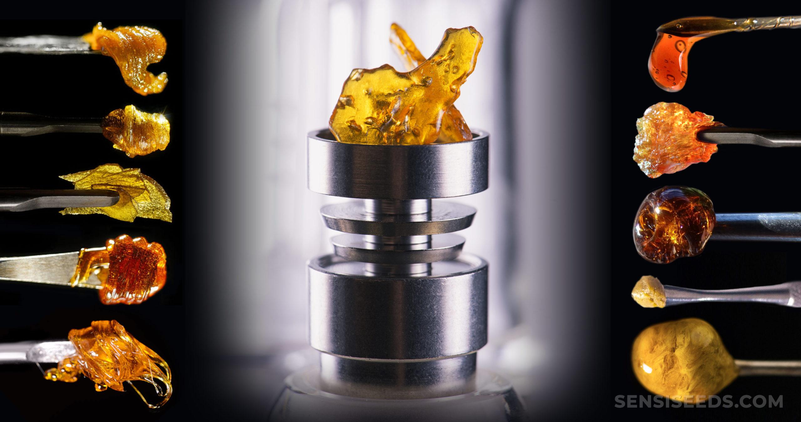 Understanding Pure THC⁤ Concentrate and ​Its Extraction Methods