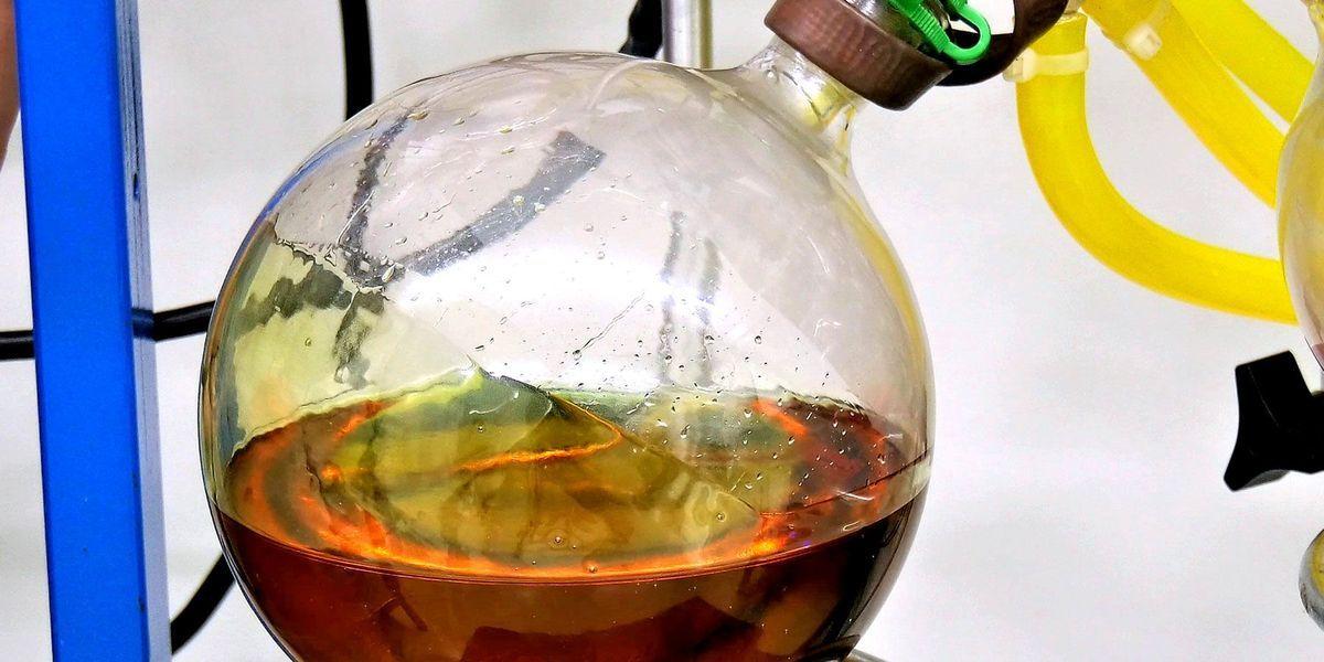 The‌ Extraction ⁢Process:⁣ Turning Raw Cannabis into THCA ⁢Distillate