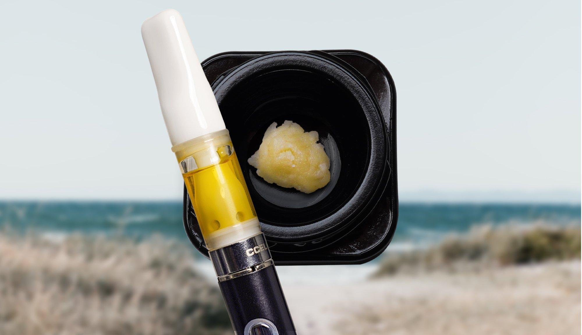 Top Recommended Rosin Carts for Every Budget