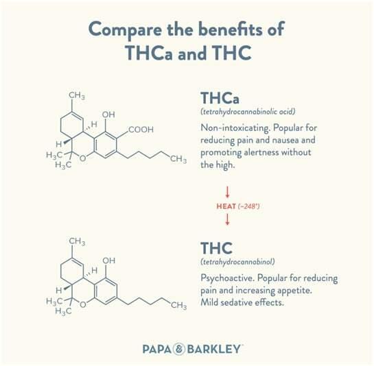 Consumption methods: Optimal Ways ‌to Experience THCA Benefits