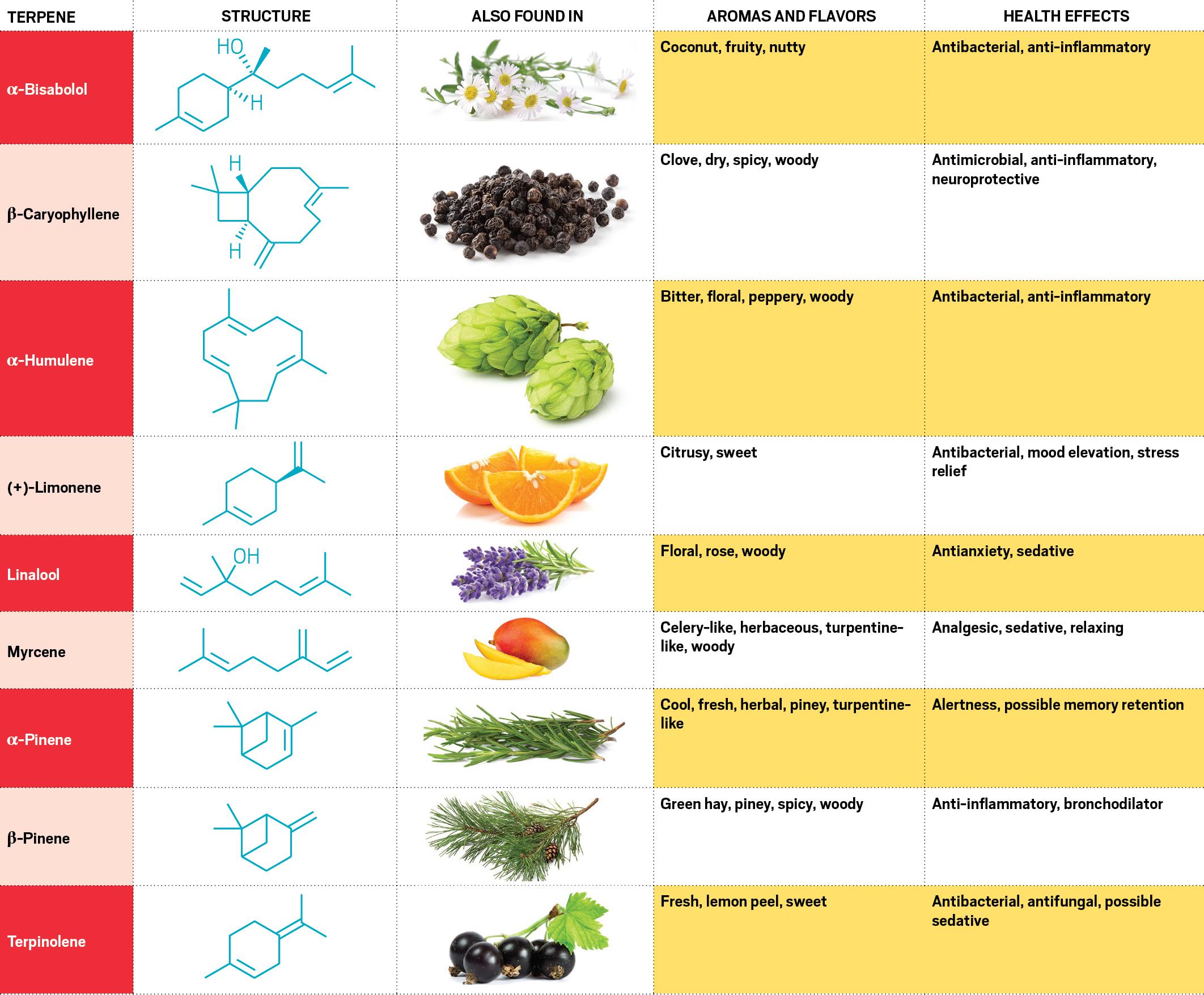 Comparing Terpene Profiles: ⁤Why⁤ Flavor⁢ Matters in Cannabis Consumption