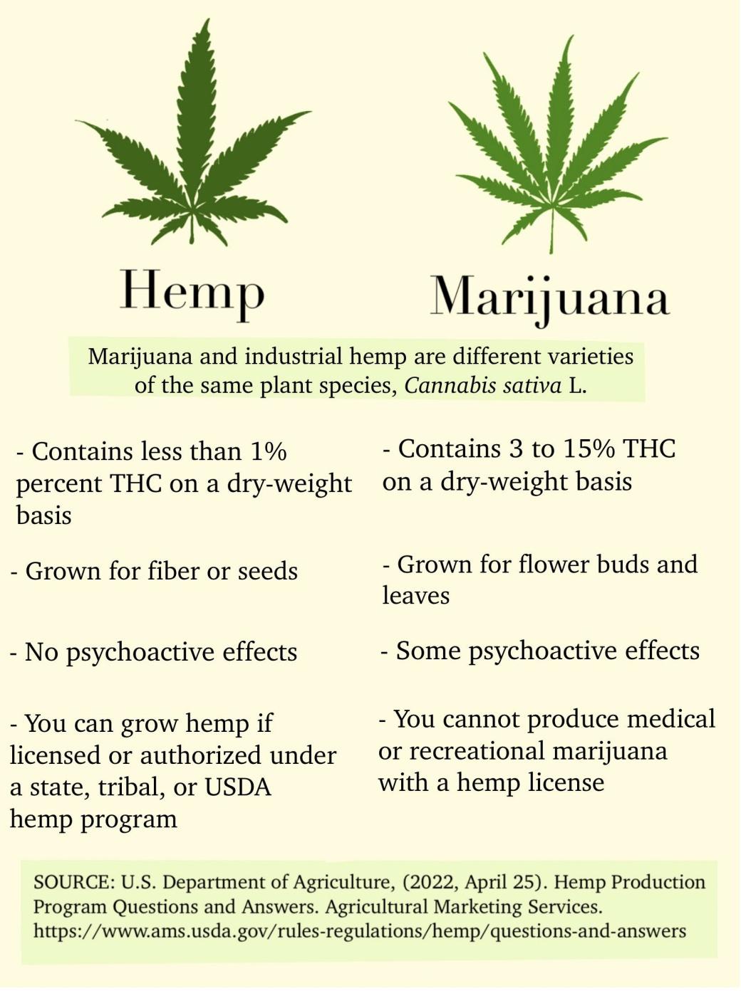 Exploring the Nutritional Richness Found in Hemp-derived‌ Products