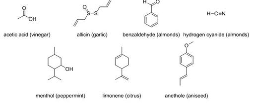 Chemical Composition and ⁤Purity Levels Explained