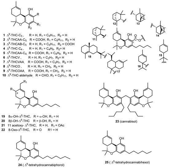 Comparative Potency: THC-X Versus Traditional⁤ THC