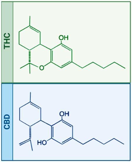 The Psychoactive Nature of THC: Effects‍ on Mind and Body