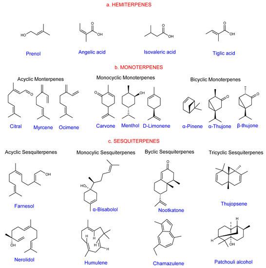 The flavor ⁢Profiles: A Deep‍ Dive into⁣ Terpenes