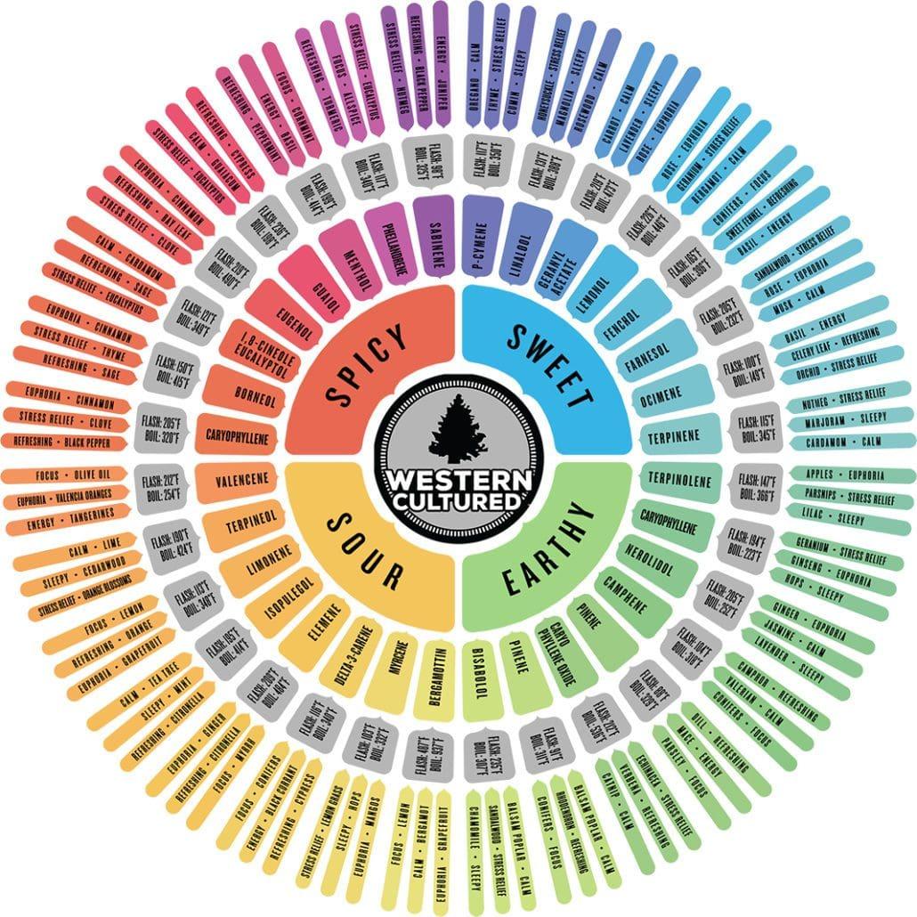 The Impact⁢ of ⁤Terpene Profiles on Experience and Effects