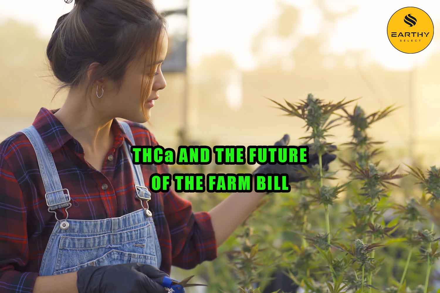 Future ⁤Trends ⁢in THCA Legislation: What ‍to Watch For in North Carolina