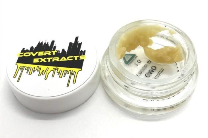gmo hash rosin