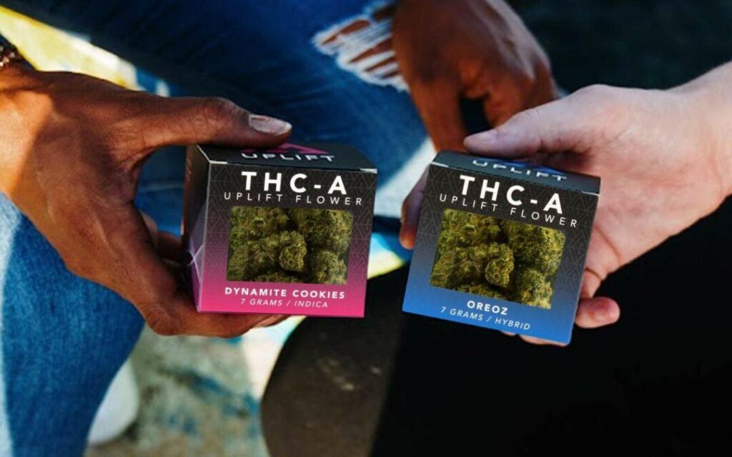 is thca legit