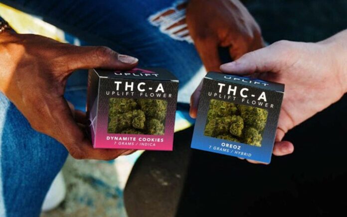 is thca legit