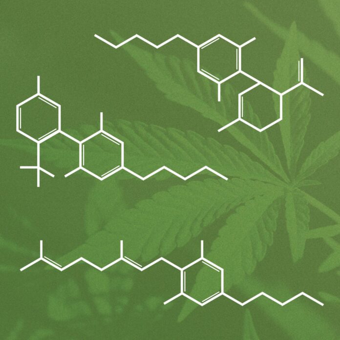 how long does thc rosin last