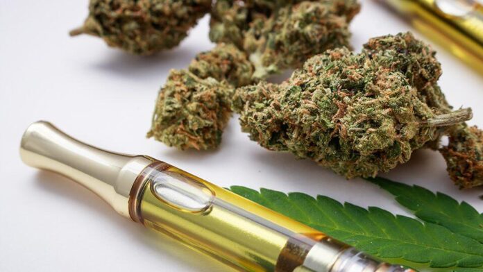 thca vs thc drug test
