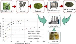 Exploring the Extraction Methods Behind Hash and Rosin