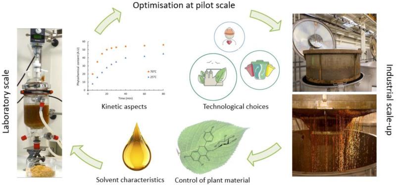 Understanding the⁣ Extraction Process and ⁢Its Impact on quality