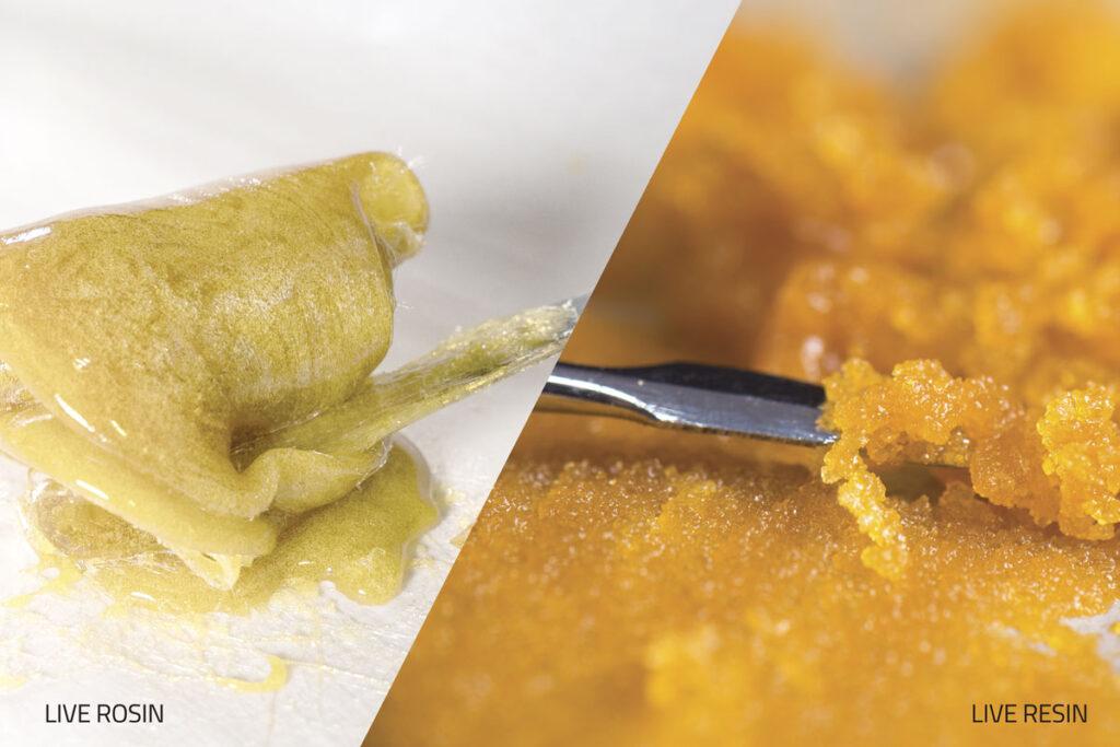 Understanding⁣ the Benefits of Live Rosin Extraction Methods