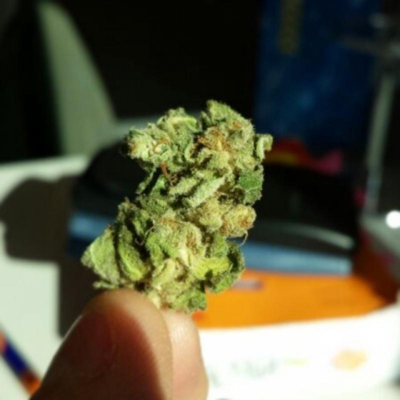 Future Trends: What to⁣ expect from the THCA Market in San Antonio