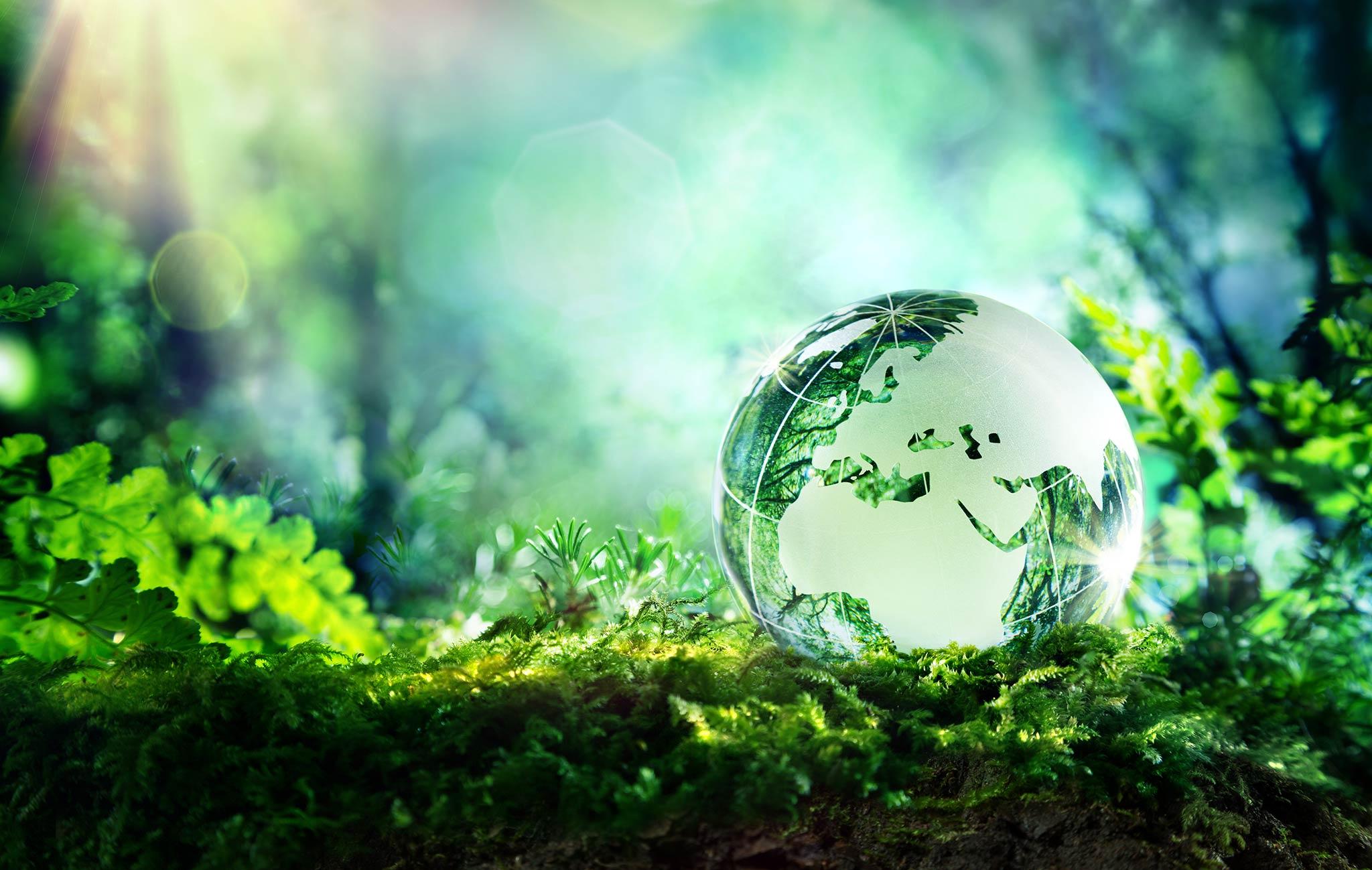 Sustainability ⁢and Quality: ‌An Ethical‌ overview
