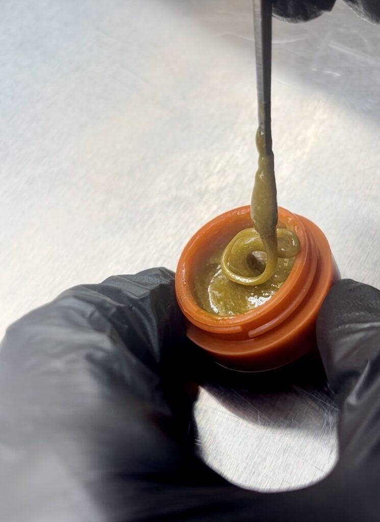 Choosing the Right Flower for Optimal Rosin Production