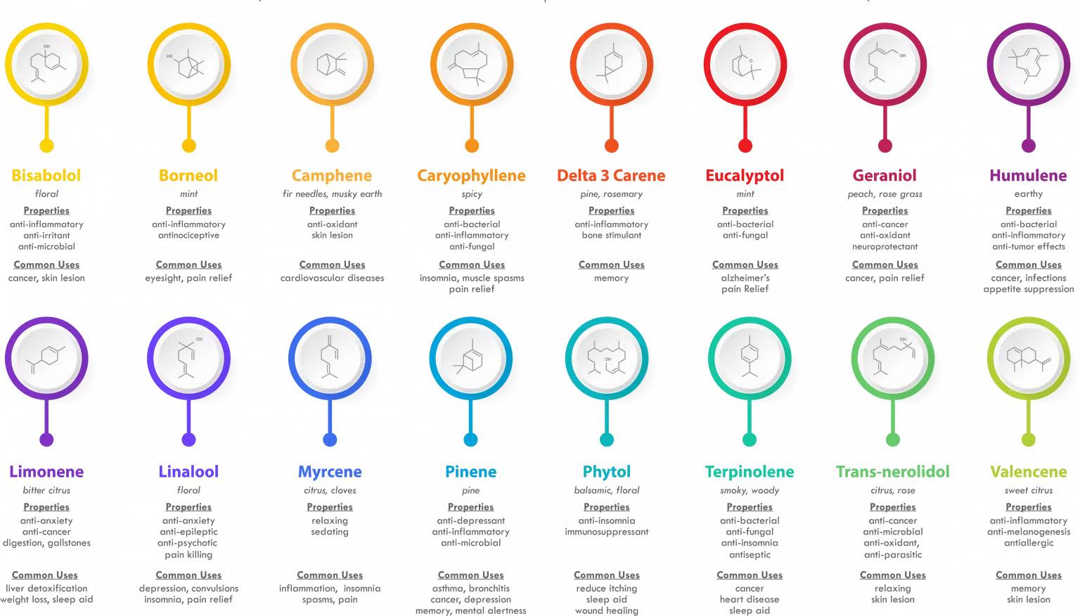 The Role of ​terpenes in Enhancing THC Experiences