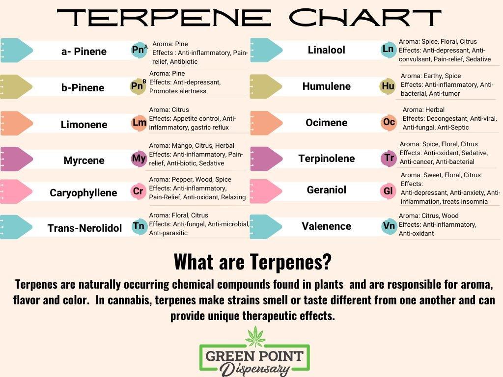 Flavor Profiles: A Closer Look at Terpene⁣ Content
