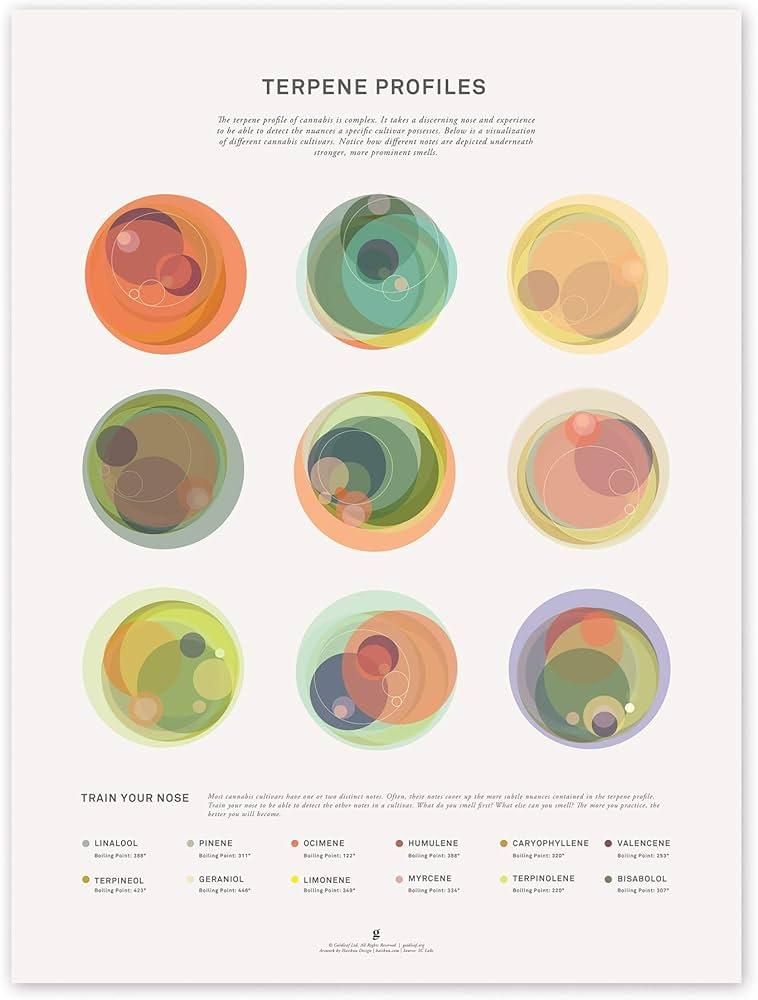 Preserving Terpene Profiles: Why⁢ flavor Matters in Hash Rosin