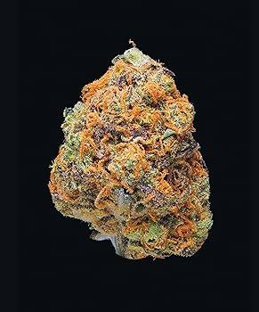 Choosing the Right⁣ cannabis Strain for Optimal Rosin⁢ Quality
