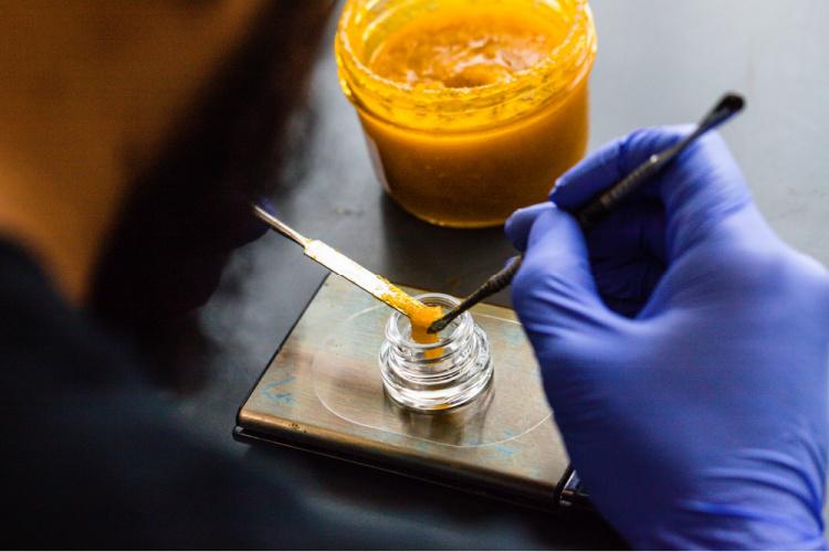 The Extraction Process: How Live Resin Is Made
