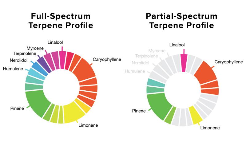 The Extraction​ Process: Crafting full-Spectrum Terpenes