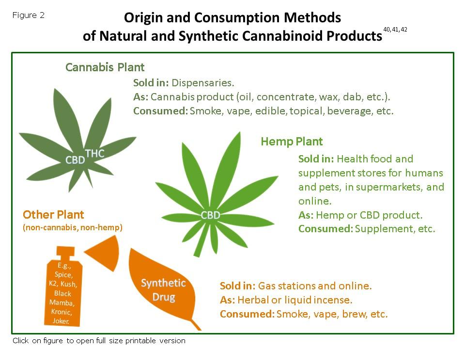 Navigating Consumption‌ Methods for maximum‌ THC ⁤Efficacy