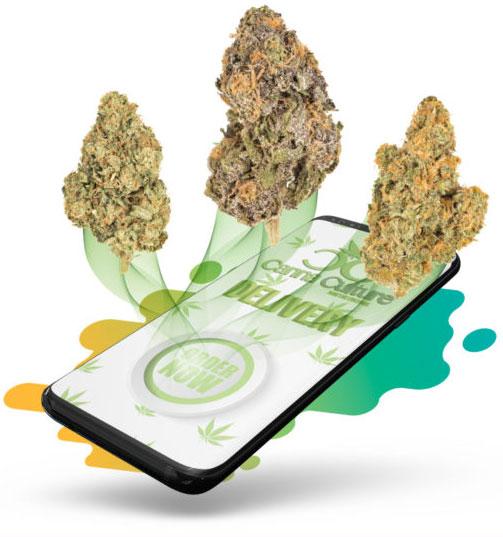 The Science Behind THC Delivery in O-Pen​ Products
