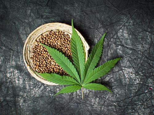 Navigating the Legal Landscape Surrounding‌ Hemp in the modern Era