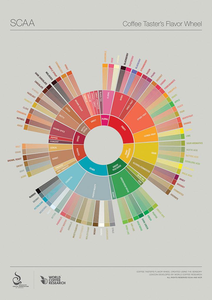 A deep Dive into‍ Flavor profiles‍ and Strain‌ Varieties