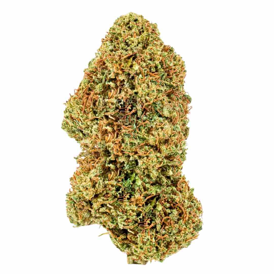 Cultivation Insights: Growing ⁢GMO THCA‍ flower Successfully