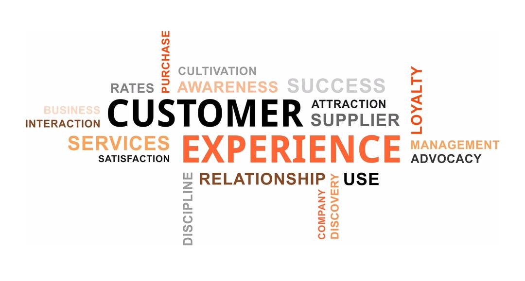 Customer Experience: Navigating the Online Shopping⁤ Journey