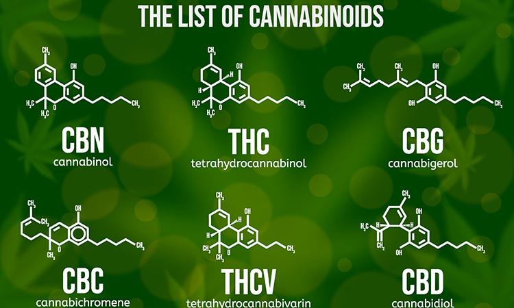 Cannabinoid Content‌ and potency Considerations