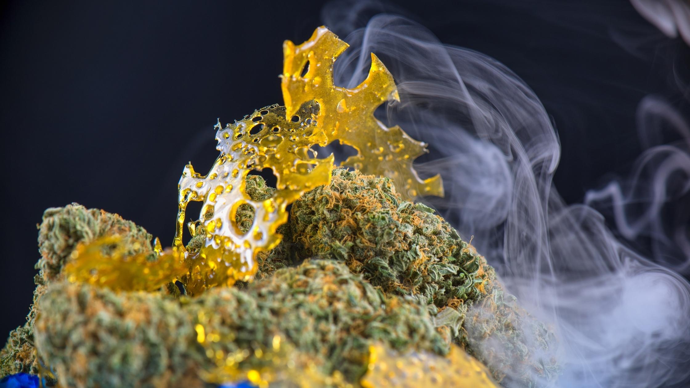Exploring ‌the Basics of Shatter and Flower Cannabis