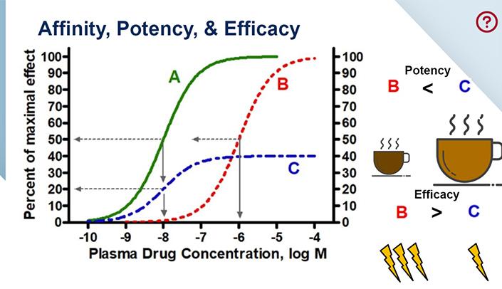 Comparative Analysis of Potency and Flavor profiles