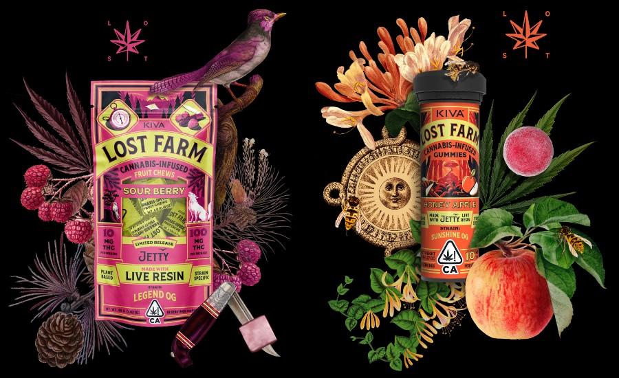Top‌ Picks for fruity‍ and Sweet Flavor Enthusiasts