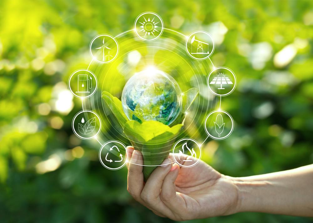 Sustainability⁢ and Environmental Impact: The Role of ‍Enlighten hemp