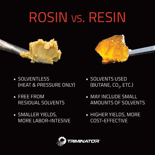 Comparative Analysis of Potency and Flavor Profiles