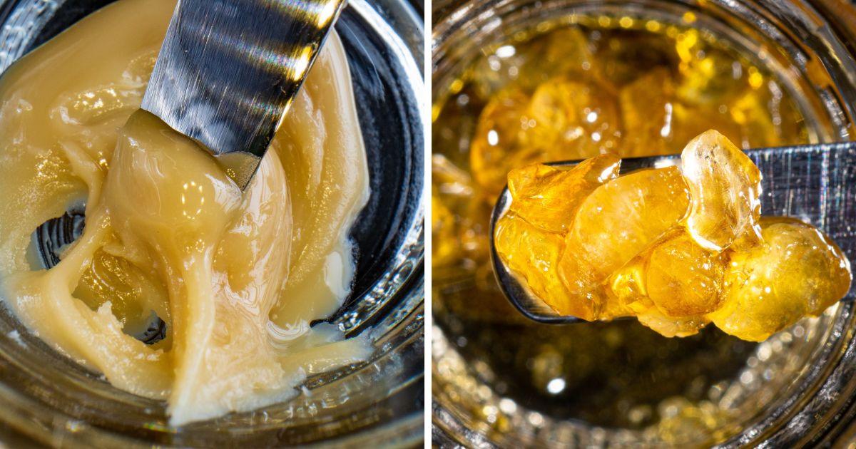 Flavor Profiles and​ Potency: What‌ Sets Them Apart