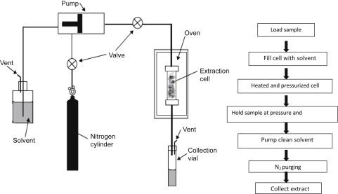 Understanding the Extraction Process That Sets Arete Apart