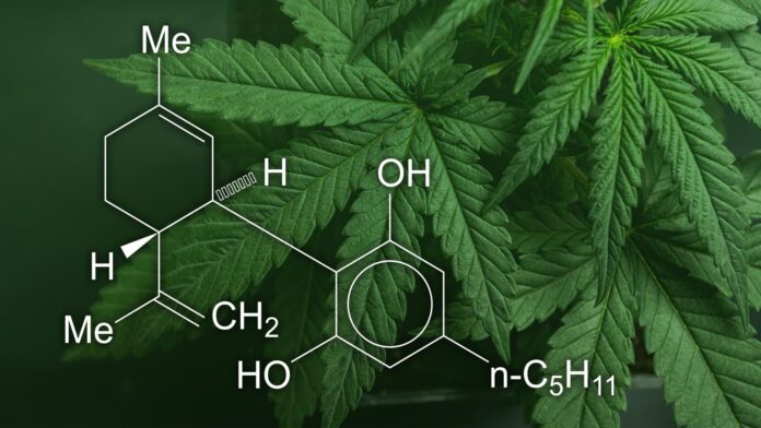 thc-q