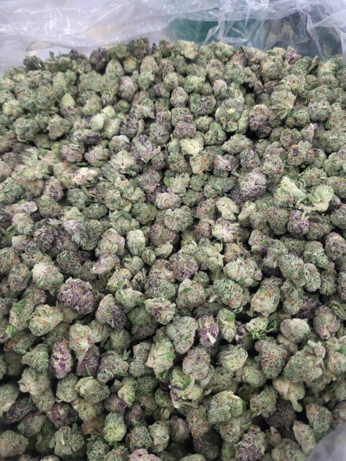 exotic thca flower