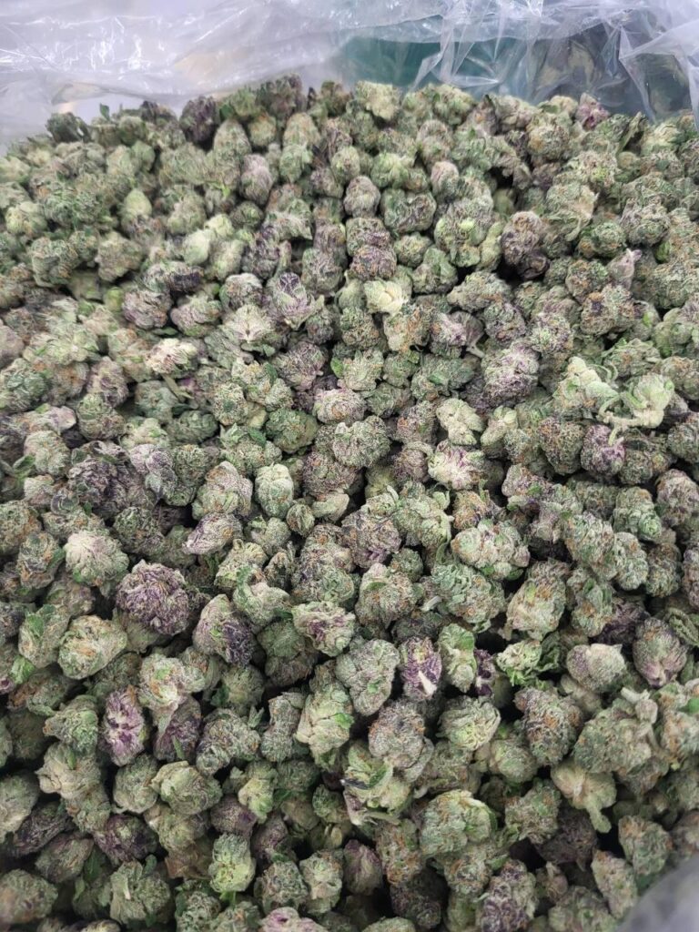 exotic thca flower