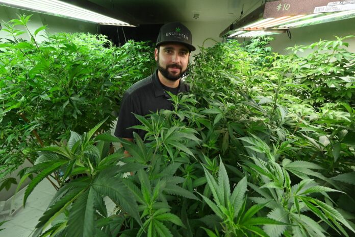 enlighten hemp company