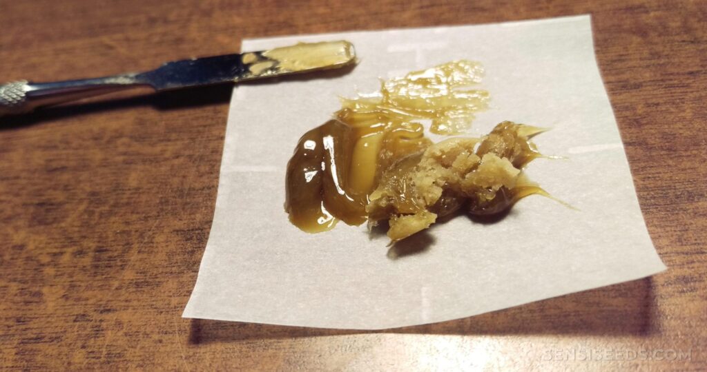 gmo rosin meaning